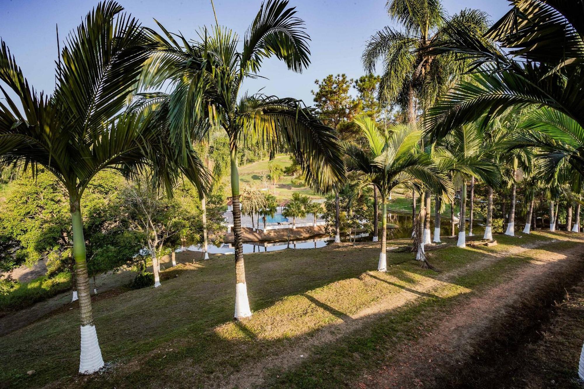 Recanto Das Aguas - Chales No Meio Da Mata Atlantica Eldorado Exteriér fotografie